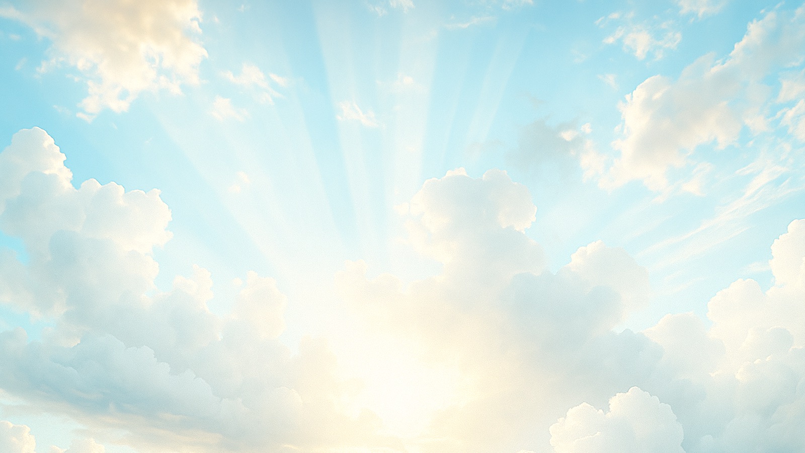 АНО «Небеса»