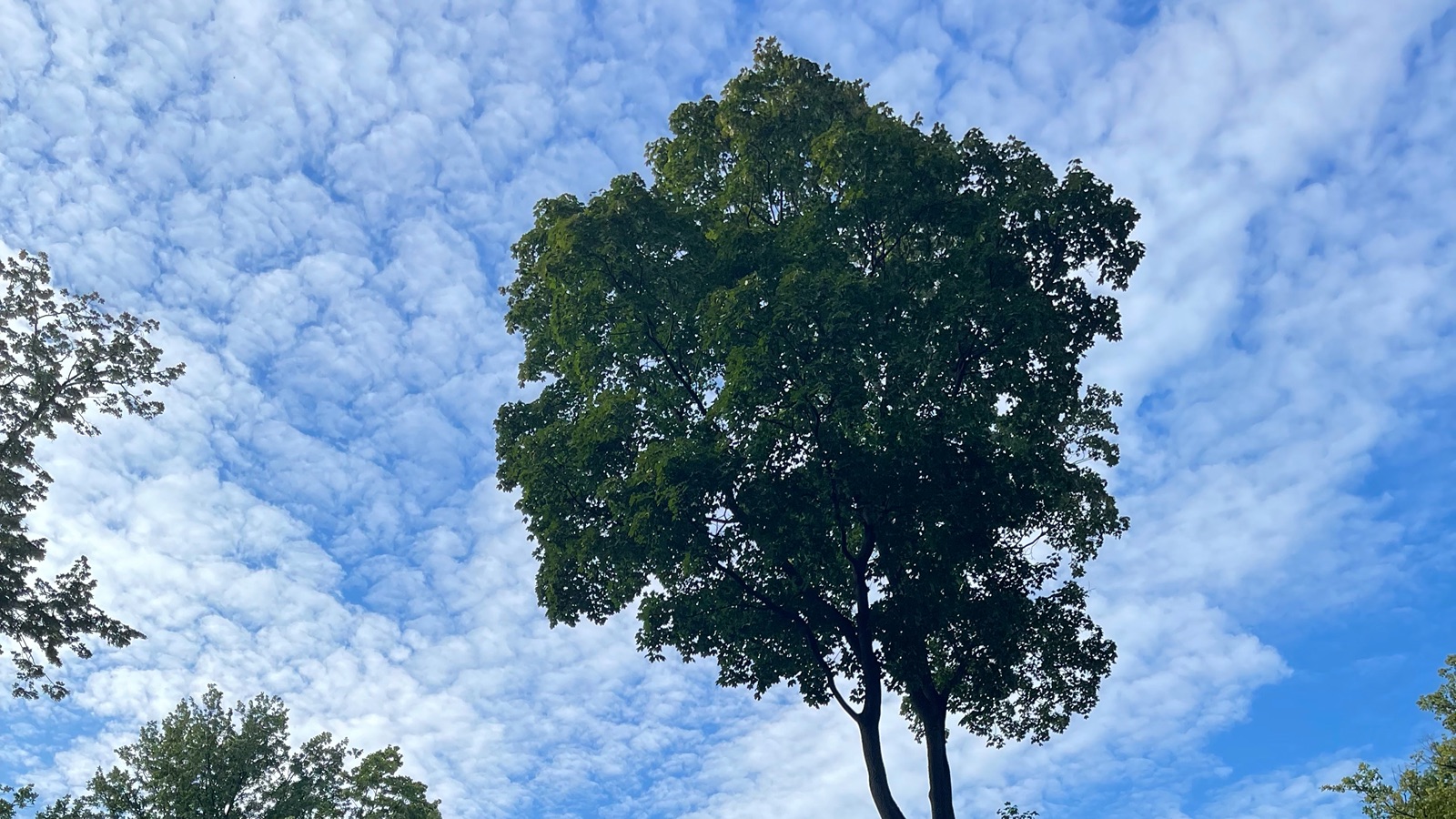 Скульптура Летнего сада