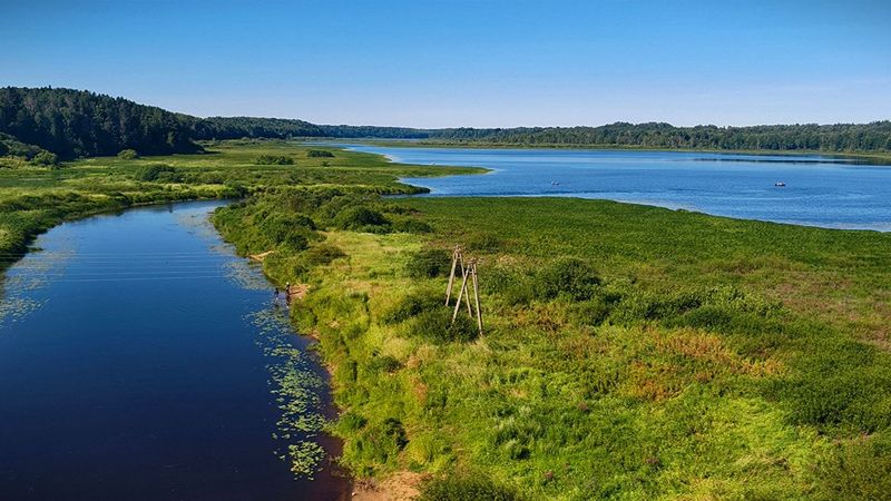 Волною морскою